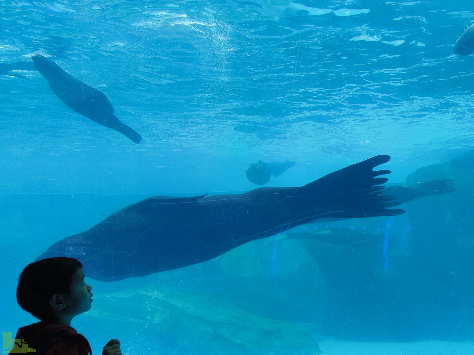 Schüler:innen-Austausch der Hardensteiner - Ankunft in China