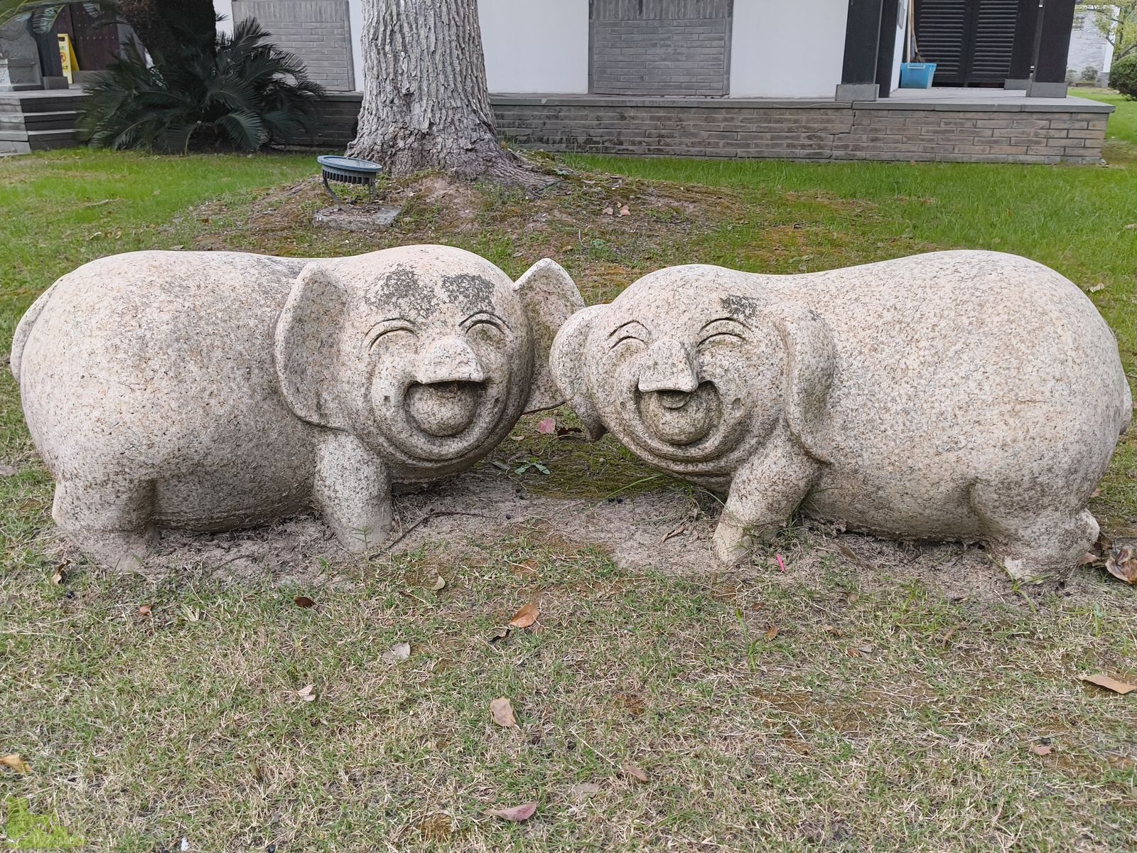 Schüler:innen-Austausch der Hardensteiner - Ankunft in China